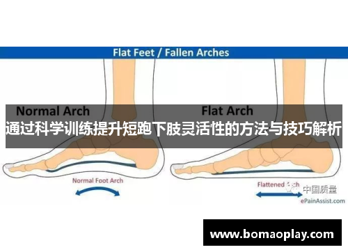 通过科学训练提升短跑下肢灵活性的方法与技巧解析