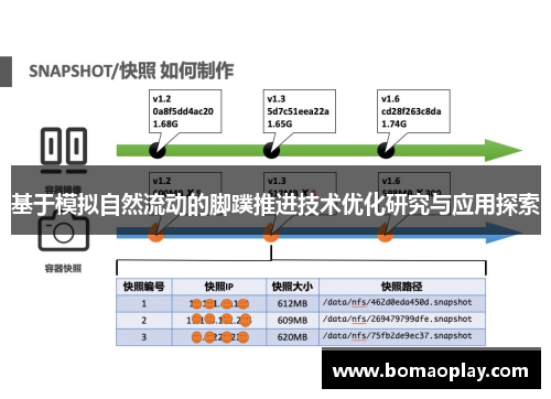 基于模拟自然流动的脚蹼推进技术优化研究与应用探索